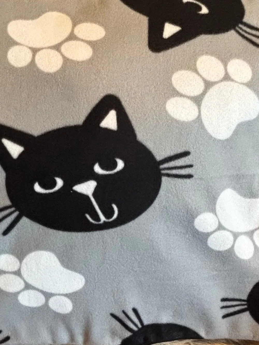Cat Pet Blanket Double Fleece Size 22”x28” New